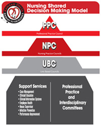 shared decision making in nursing essay